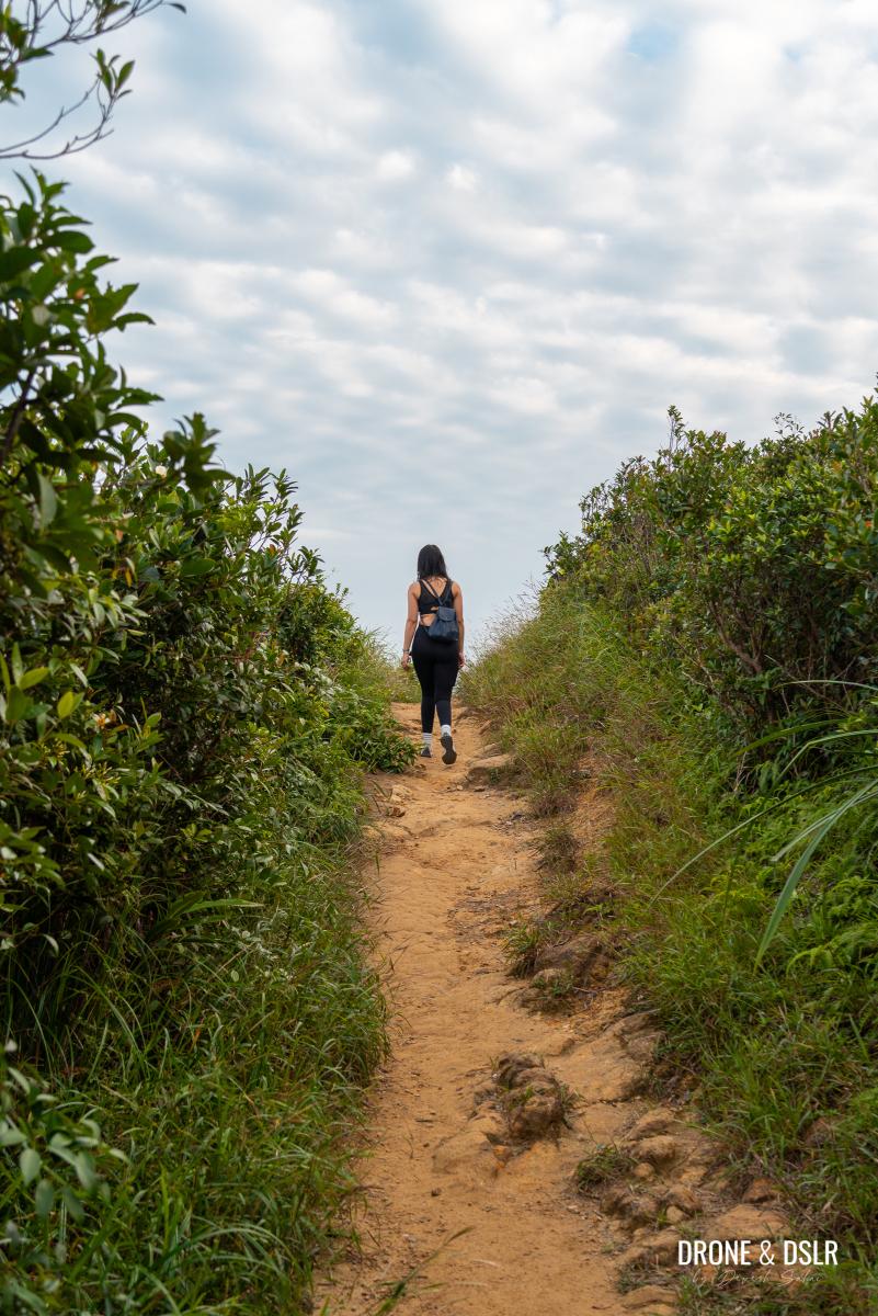 The Twin Peaks Violet Hill Hike Hong Kong Drone Dslr