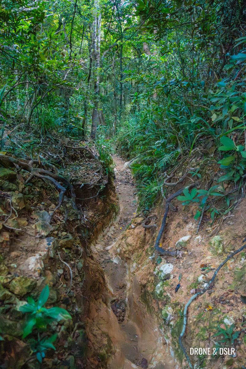 The Twin Peaks Violet Hill Hike Hong Kong Drone Dslr