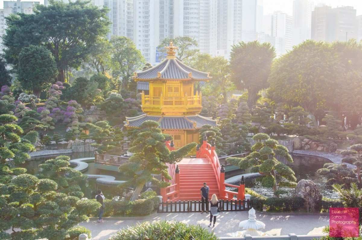 Chi Lin Nunnery and Nan Lian Garden, Hong Kong