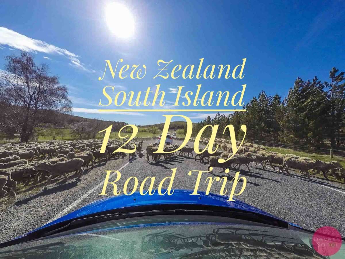south island road trip