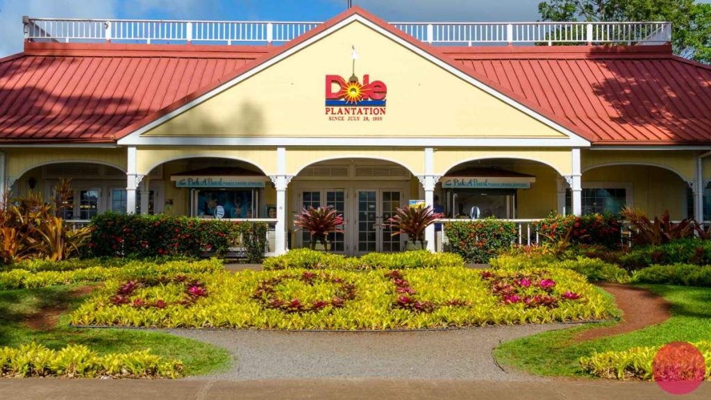 The Dole Plantation in Oahu
