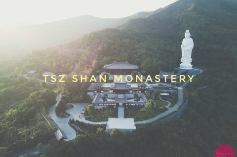 Tsz Shan Monastery Hong Kong Blog