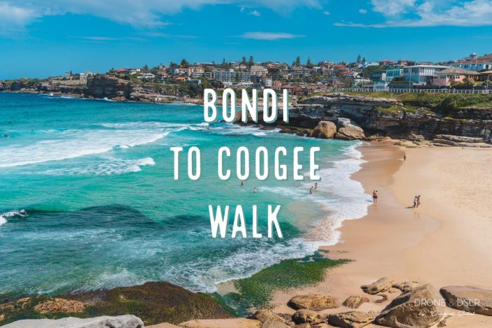 The Bondi to Coogee Walk Guide