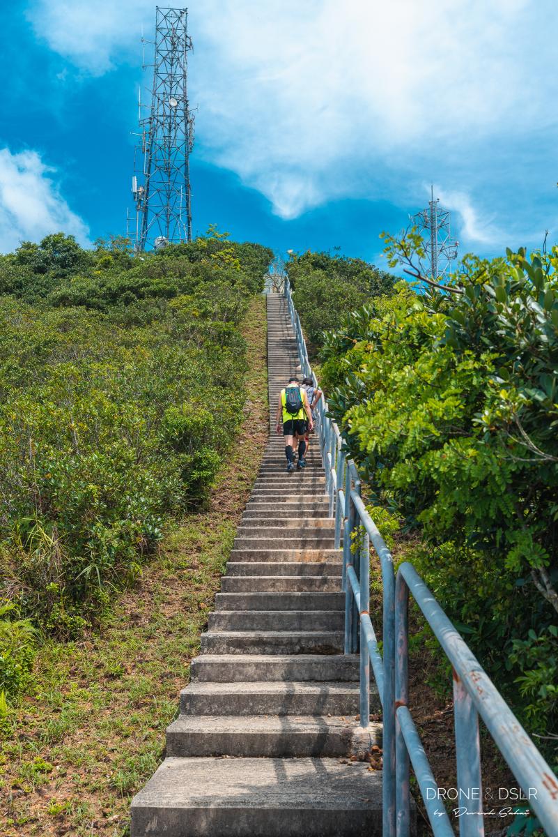 Brick Hill Hike (Nam Long Shan), Hong Kong