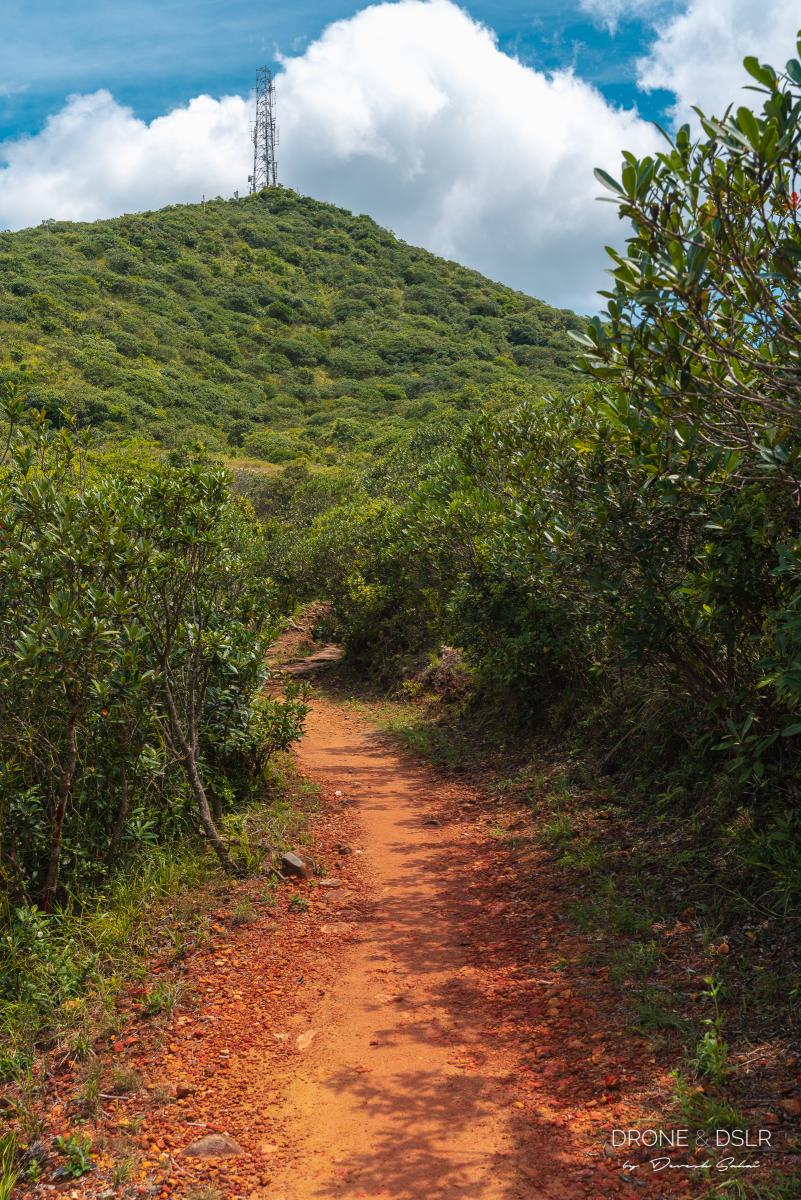 Brick Hill Hike (Nam Long Shan), Hong Kong