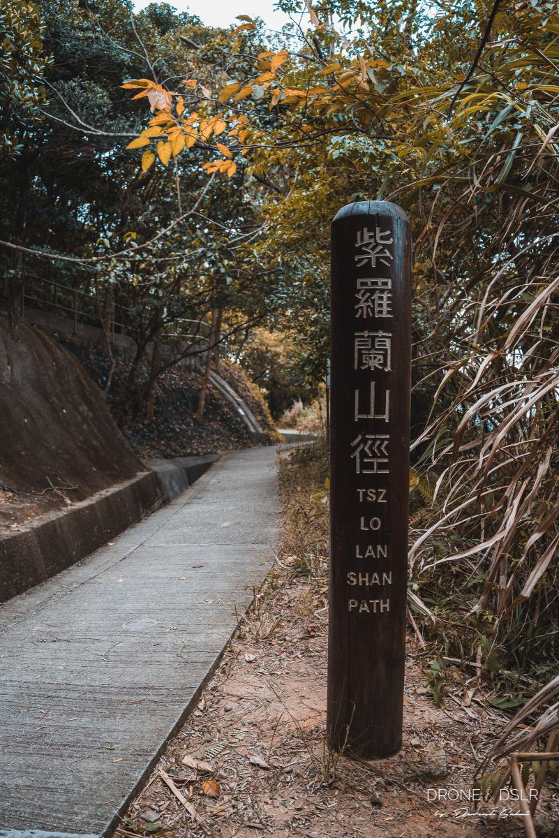 Tsz Lo Lan Shan Path