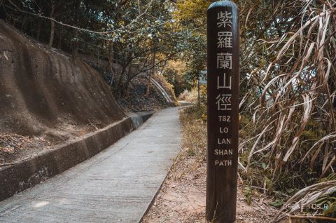 Tsz Lo Lan Shan Path