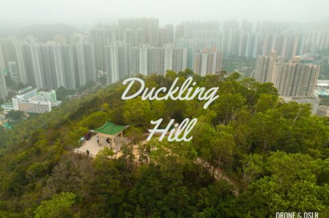 Duckling Hill Hike - TKO to HKUST
