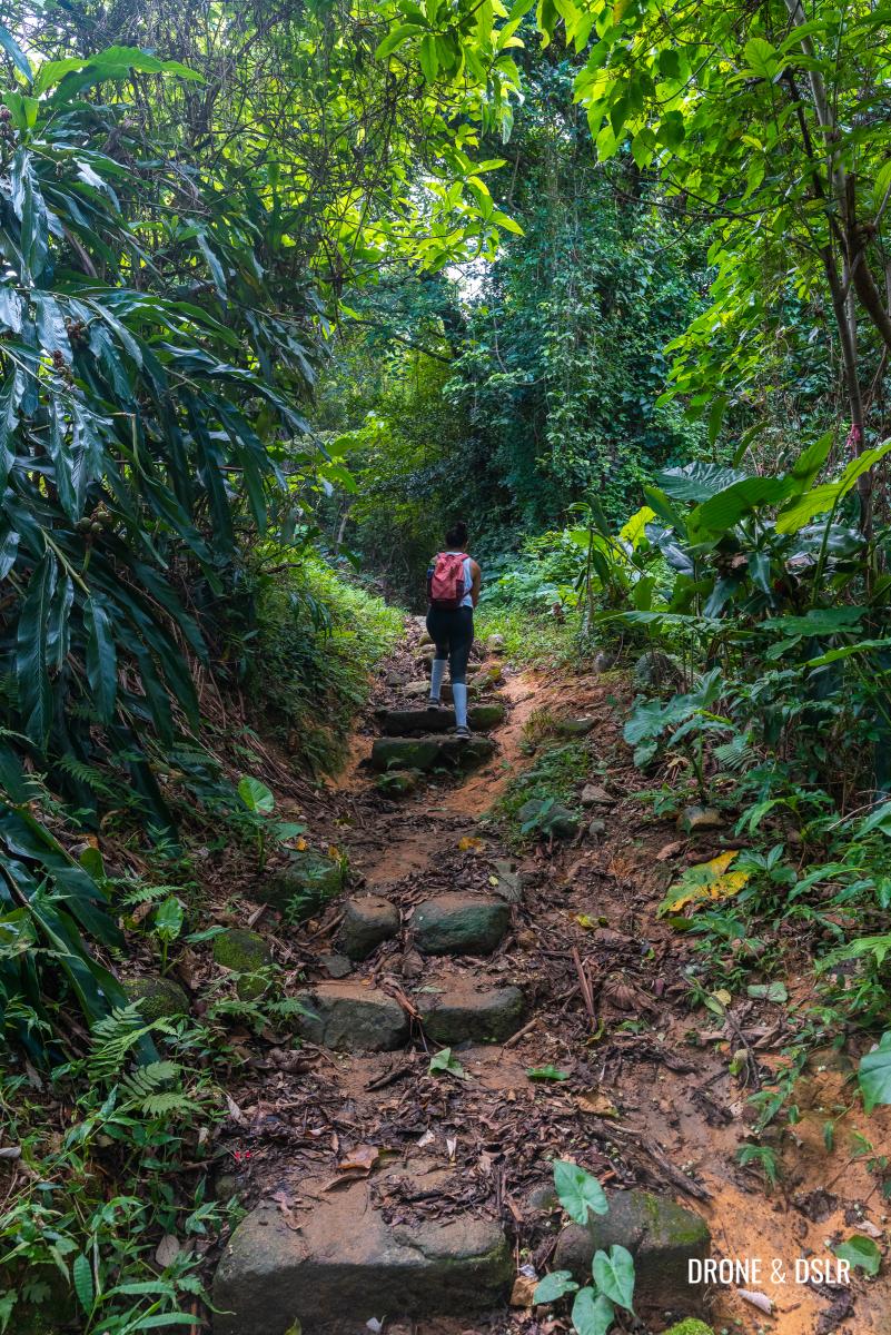 Nam Shan Old Village Path, Lantau Island | Drone & DSLR