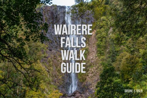Wairere Falls Walk Guide