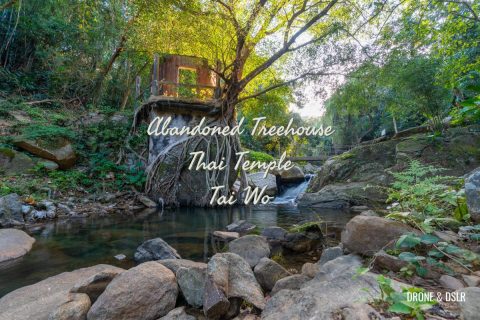 Abandoned Treehouse, Tai Wo, Thai Temple,