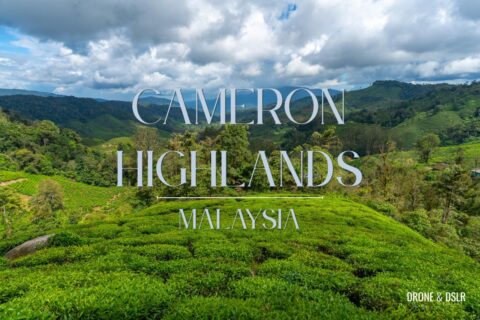 Cameron Highlands, Malaysia Things To Do Guide Blog